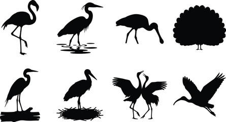Fototapeta premium Collection of large bird silhouettes featuring heron, flamingo, crane, and peacock for wildlife design elements