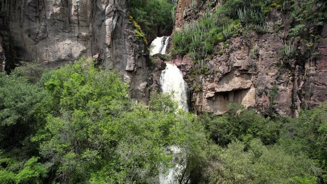 Aerial drone footage ascending through dense vegetation and rocky canyon walls to reveal a scenic waterfall hidden within Cerro Blanco in Aguascalientes, Mexico. Cinematic nature landscape with flowin