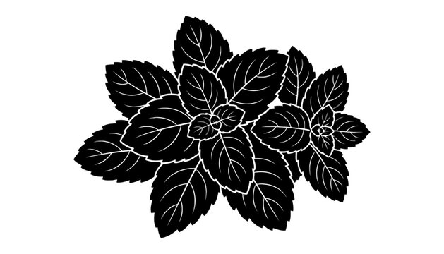 Mint leaves icon black silhouette graphic element