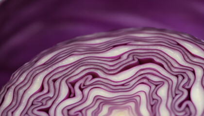 Obraz premium Extreme macro close up of fresh organic red cabbage cross section showing intricate concentric leaf patterns and vibrant purple textures