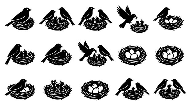 Black Silhouette Vector Icon Set of Birds in Nests Feeding Chicks and Guarding Eggs Isolated on White Background for Wildlife Designs