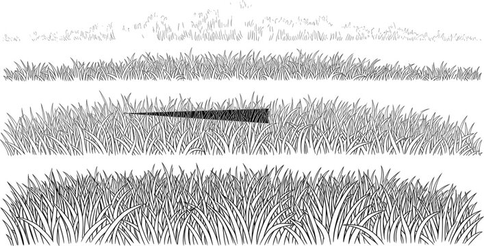 Hand drawn grass border set, botanical illustration line art, seamless foliage elements, vintage sketch dividers, monochrome editable vector pack.