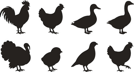 Obraz premium Premium Poultry Bird Silhouette Collection Featuring Rooster Chicken Duck Goose Turkey Chick and Quail Vector Set