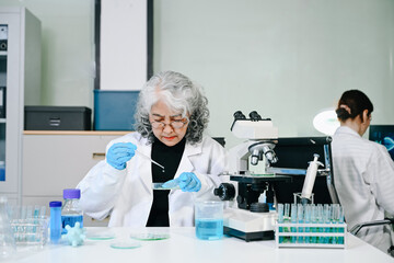 Fototapeta premium Two scientist or medical technician working, having a medical discuss meeting with an Asian senior female scientist supervisor in the laboratory with online reading, test samples and innovation