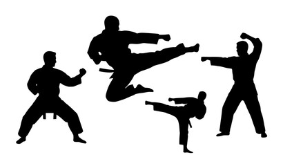 Martial arts kick silhouette vector athlete in powerful karate action pose © MstSompa