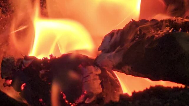 Sacred Hindu Havan Homam Yajna fire ritual being performed during a religious puja ceremony in India. The holy fire burns brightly in a traditional fire altar while devotees offer prayers