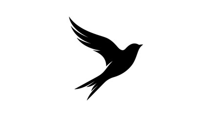 Fototapeta premium Black silhouette of a flying bird.