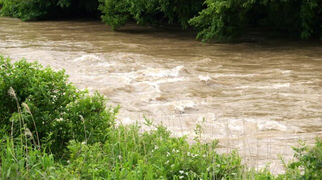 大雨の翌日、増水して濁流となった川
