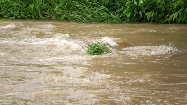 大雨の翌日、増水して濁流となった川