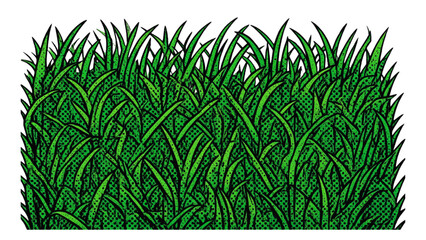 Seamless Green Grass Texture Vector Illustration, Football Field Background © Habibah