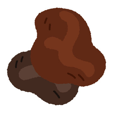 Wood ear mushroom flat illustration, black fungus auricularia auricula judae cloud ear fungi clipart