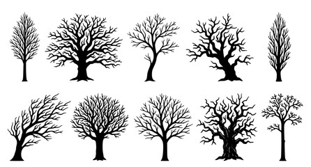 Obraz premium Collection of bare tree silhouettes