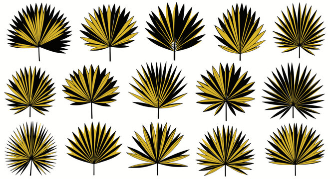 Decorative fan palm leaves in elegant black and gold colors