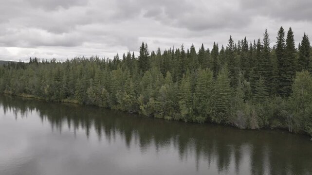 a view forest reflections on the chena river from a cruise boat near fairbanks, alaska of the united states