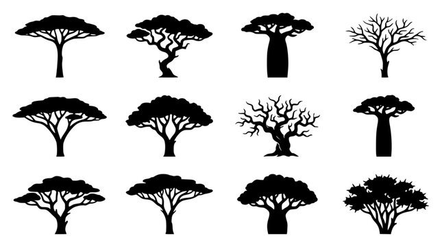 African trees silhouette collection vector illustration featuring acacia and baobab shapes for wild safari landscape design layout
