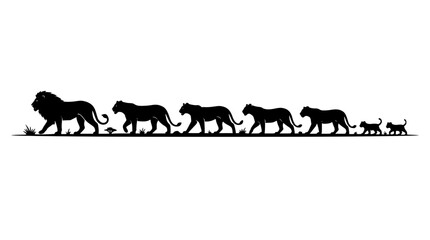 African lion pride silhouette walking in a row with lionesses and cubs vector illustration for wild safari background design © AlviAhmed