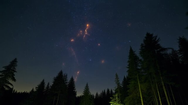 Mystical Floating Orbs in Starry Night Forest 4K Generative AI