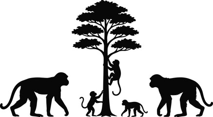Black silhouette illustration of monkey family group and tree isolated on white background for nature wildlife concept © Sreepobitra