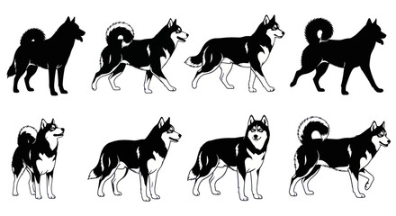 Siberian husky silhouettes and line art poses in black and white © ladawe