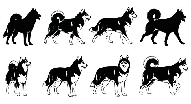 Siberian husky silhouettes and line art poses in black and white