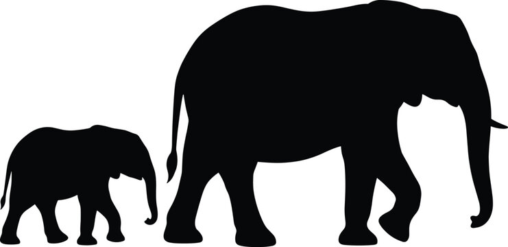 Black silhouette of a mother elephant and baby calf walking together isolated on a white background