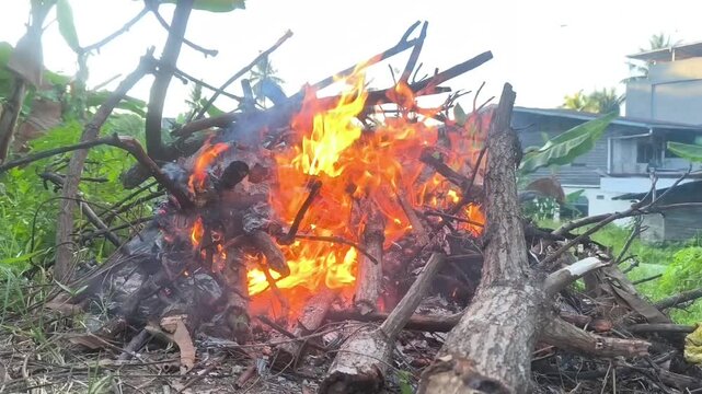 Bright orange flames consuming a pile of garden waste and dry twigs in the backyard.