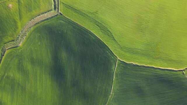 Aerial view of patchwork green fields with visible crop patterns in rural landscape