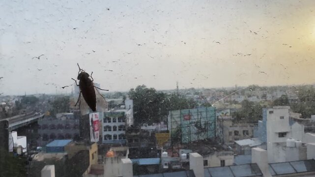 Close-up of a fly resting on a window glass with an out-of-focus urban cityscape in the background, creating a contrast between nature, insects and modern metropolitan life