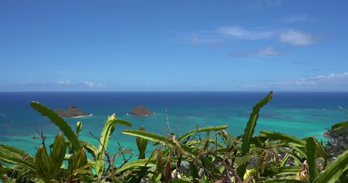 Turquoise coastline of Lanikai Beach and Mokulua islands, Oahu Hawaii