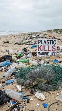 Sea turtle, ensnared in a discarded fishing net among plastic refuse covering a polluted ocean beach, demonstrating the environmental danger of plastic material harming marine animal.