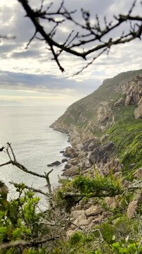 Vertical. Rugged beauty of Robberg marine reserve promontory in Plettenberg Bay. Framed dolly view through vegetation at sunrise on hiking trail.