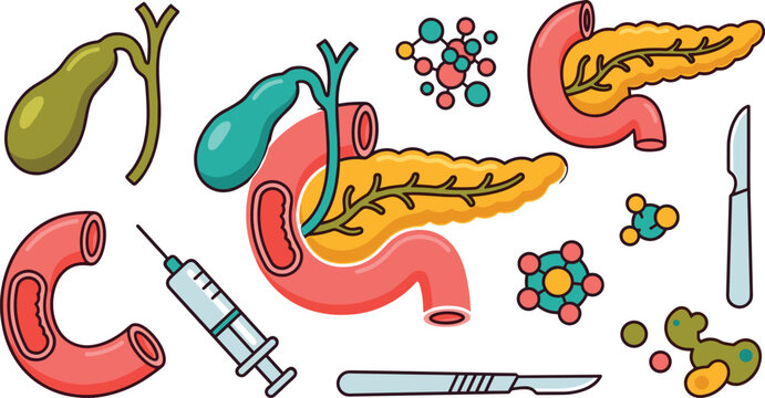 Human pancreas and gallbladder anatomy vector icon set featuring duodenum bile duct system endocrine glands syringe scalpel molecule structures and medical surgery concepts.