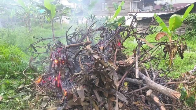 A crackling fire slowly burns down a large pile of dry leaves and wood sticks.