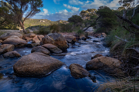 View of Waychinicup Campsite featuring a flowing stream over smooth rocks surrounded by native trees and shrubs in Cheynes, Western Australia, Australia.