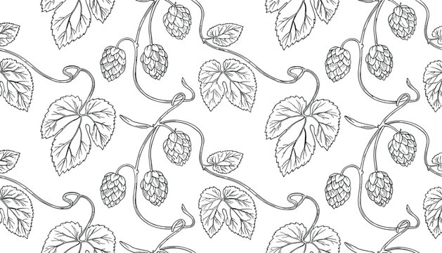 Hop vine botanical seamless pattern, hand drawn brewing plant background design, vector illustration artwork