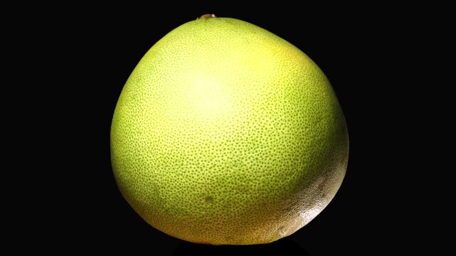 Beautiful close up shot of a whole fresh organic green pomelo citrus fruit sitting isolated against a solid black background in studio
