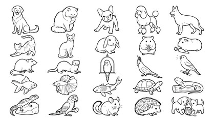 Fototapeta premium Rare Animals Line Art Coloring Book - Wildlife, Birds, Insects, Marine Life & Endangered Species Vector Illustrations Megaset