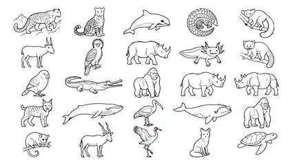 Fototapeta premium Rare Animals Line Art Coloring Book - Wildlife, Birds, Insects, Marine Life & Endangered Species Vector Illustrations Megaset