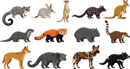 Exotic Wildlife Vector Icon Set Featuring Kangaroo, Meerkat, Red Panda, Wombat, Tasmanian Devil, Dingo, and African Wild Dog Cartoon Character Graphics © Siddika