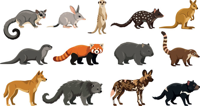 Exotic Wildlife Vector Icon Set Featuring Kangaroo, Meerkat, Red Panda, Wombat, Tasmanian Devil, Dingo, and African Wild Dog Cartoon Character Graphics