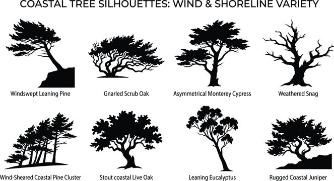 Coastal Tree Silhouette Collection Featuring Windswept Shoreline Trees and Wind Shaped Forms