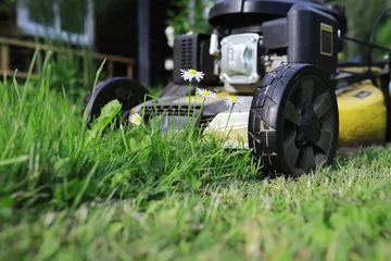 Fotobehang Olijf Lawn mover on green grass in modern garden. Machine for cutting lawns.  © alexkich