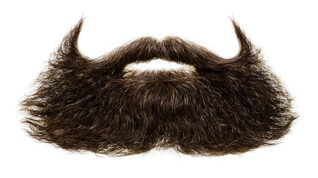 Dark brown bushy mustache and beard, isolated on transparent background