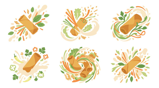 Dynamic spring roll illustrations featuring artistic food splashes, fresh herbs and sauce swirls