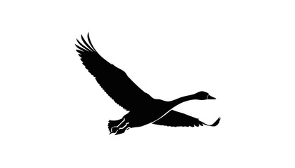 Obraz premium Silhouette of a Flying Goose Swan Bird Isolated on White Background