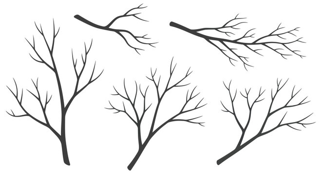 Set of bare tree branches isolated on white background hand drawn silhouettes for artistic nature design seasonal fall autumn winter collection vector elements.