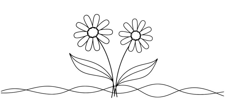 Two simple daisy flowers with wavy lines in a hand drawn doodle sketch style illustration