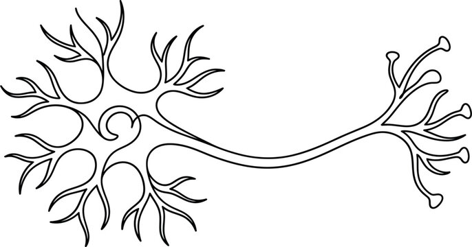 Minimalist continuous line drawing of a biological neuron cell.