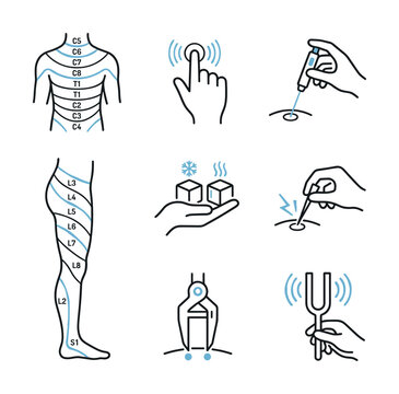 Neurological reflex examination and sensory testing system