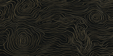Intricate golden topographic map lines on black background with topographic abstract geography cartography background minimalist geometric metallic wallpaper creative illustration dramatic © MOHAMAD